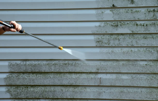 Best Roof Cleaning and Mildew Removal in Groveton, VA